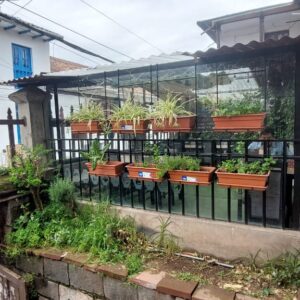 Las misteriosas ciudades del valle Sagrado